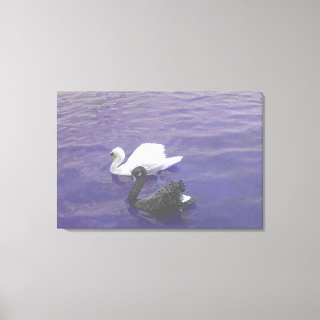 Swan Couple on a Lake Canvas Print (Front)