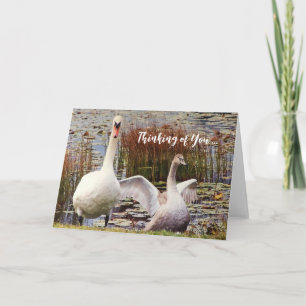 Swan Duck Blank Inside Thinking of You Card