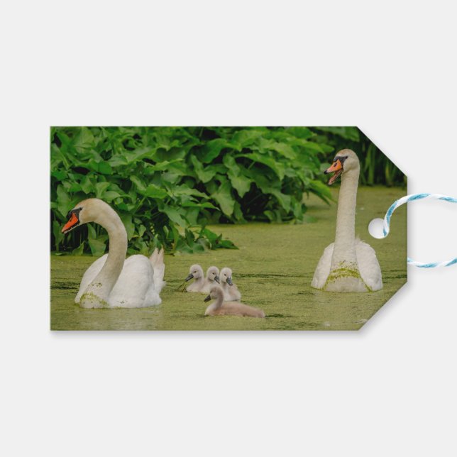 Swan Family Gift Tags (Front (Horizontal))