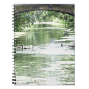 Swan Family On River Notebook