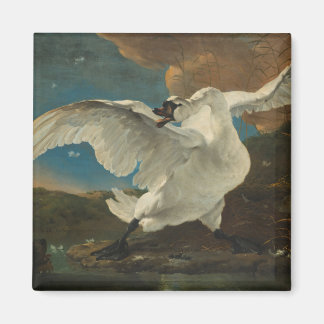 Swan fine art Asselijn Magnet