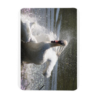 Swan fridge magnet