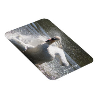 Swan fridge magnet
