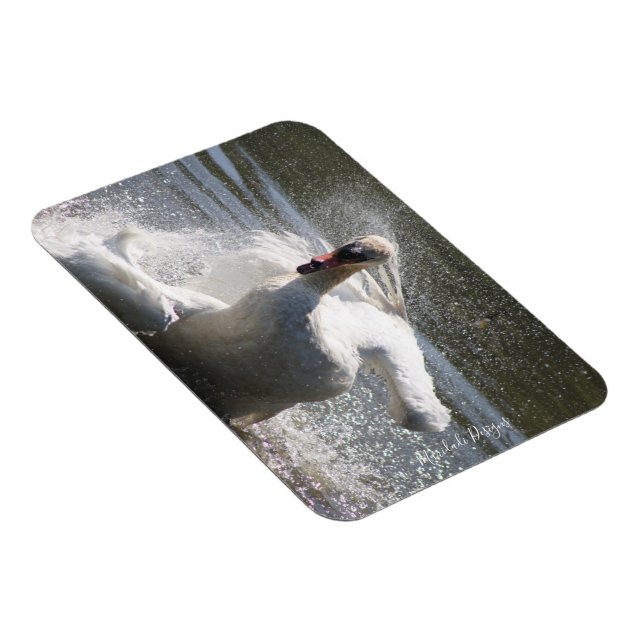 Swan fridge magnet (Right Side)