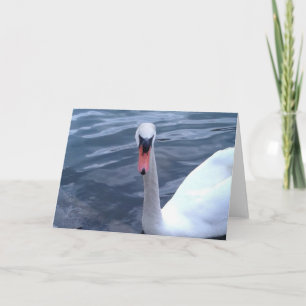 Swan Gazing On The Lake Card