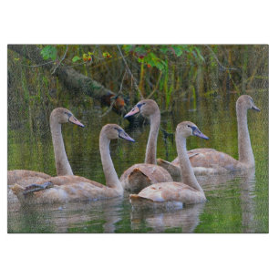 Swan Glass Cutting Board