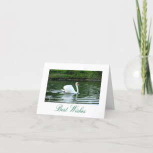 "SWAN GLIDING GRACEFULLY ACROSS LAKE" / HAPPY BIRT CARD