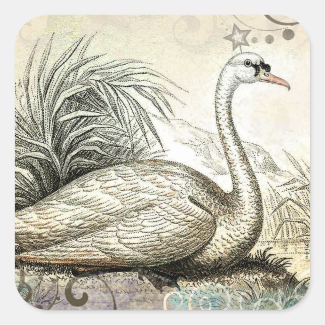 Swan Graphic Square Sticker (Front)