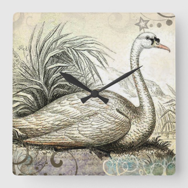 Swan Graphic Square Wall Clock (Front)