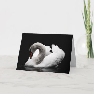 swan greeting card