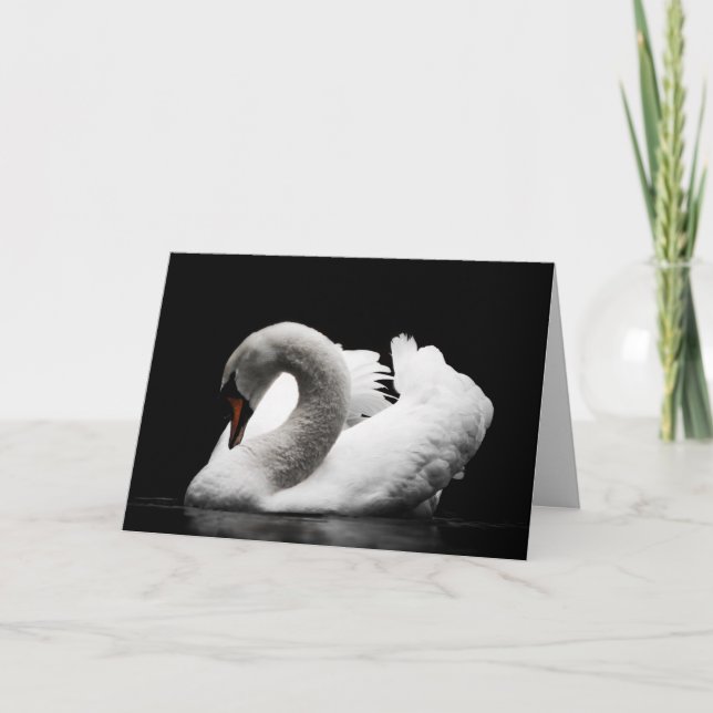 swan greeting card (Front)