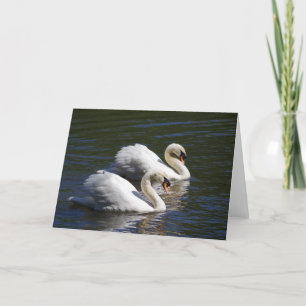 Swan Greetings Card