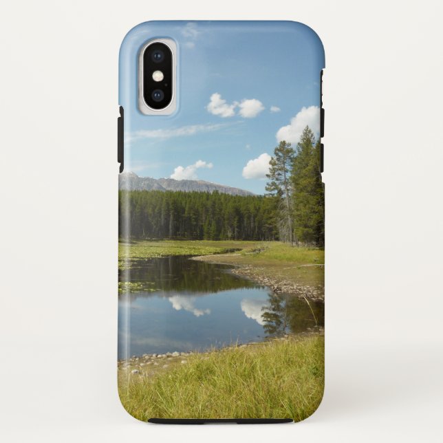 Swan Lake I at Grand Teton National Park Case-Mate iPhone Case (Back)