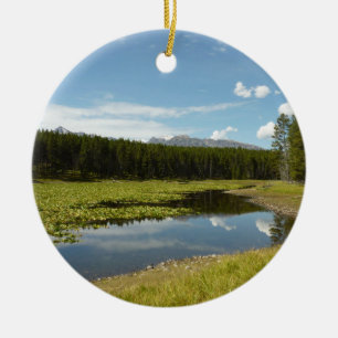 Swan Lake I at Grand Teton National Park Ceramic Ornament