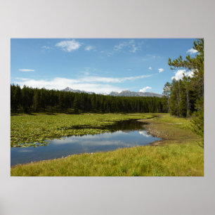Swan Lake I at Grand Teton National Park Poster