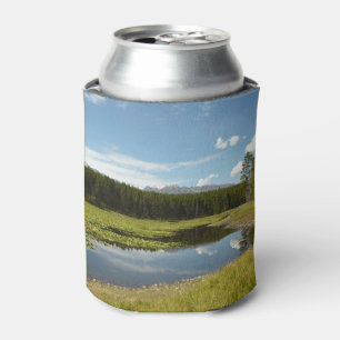 Swan Lake I Can Cooler