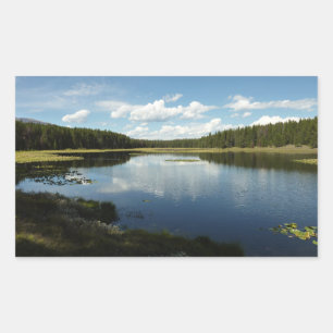 Swan Lake II at Grand Teton National Park Sticker