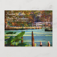 Swan Lake Iris Gardens, Sumter, South Carolina