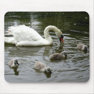 Swan Lake - Mousepad