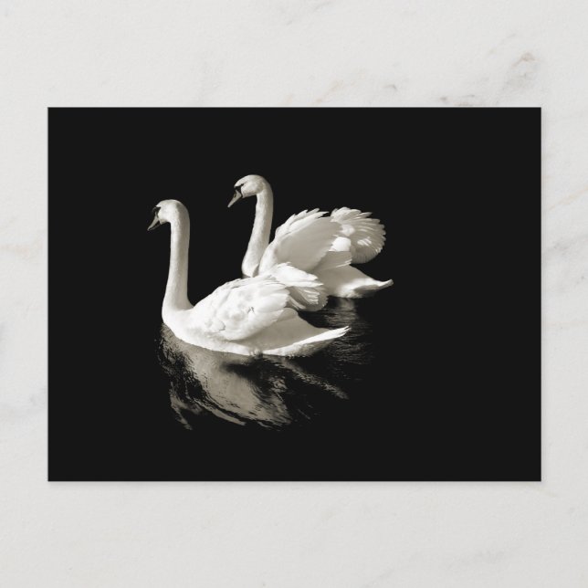 Swan Lake postcard (Front)