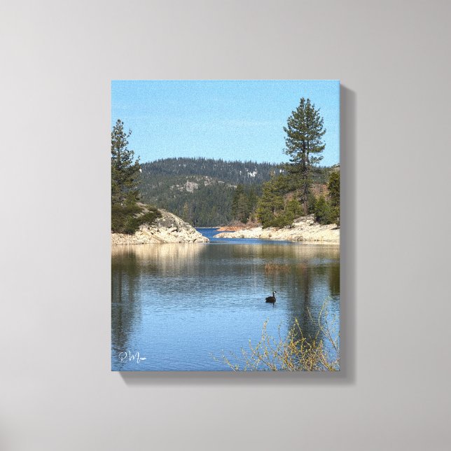 Swan Lake Wall Art (Front)