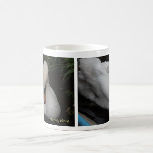 Swan mug that changes colour