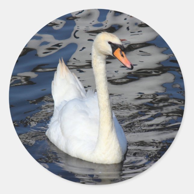 Swan on a Lake Classic Round Sticker (Front)
