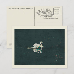 Swan on a lake postcard