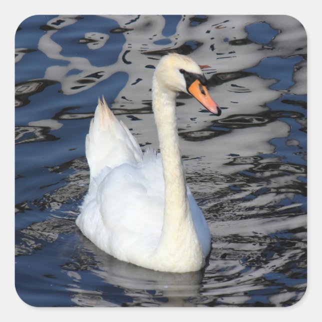 Swan on a Lake Square Sticker (Front)