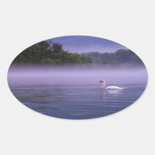 Swan on lake oval sticker