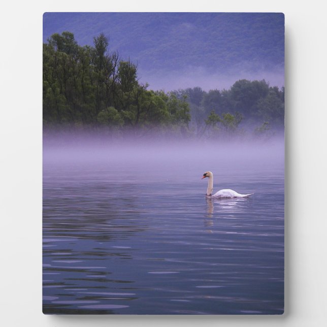 Swan on lake plaque (Front)