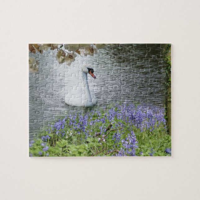 Swan on water jigsaw puzzle (Horizontal)