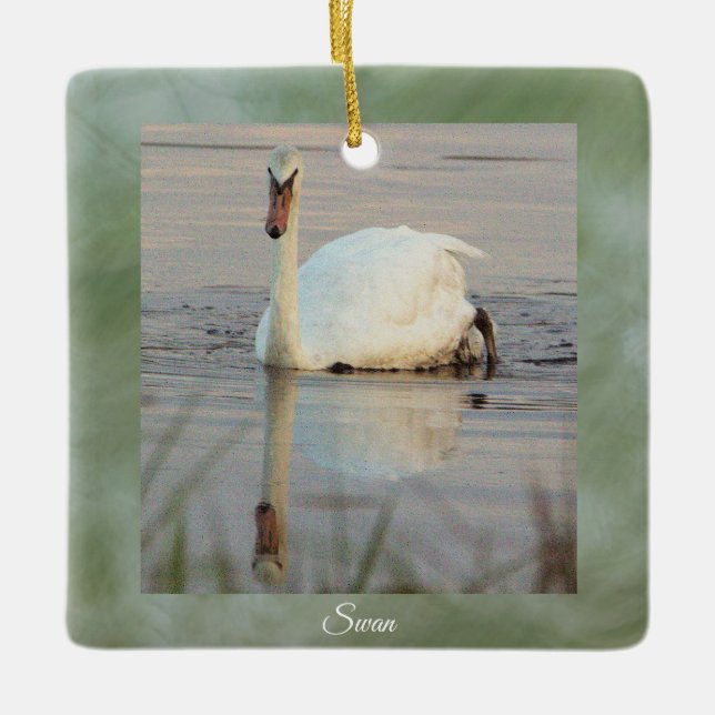 Swan Photo Ornament  (Front)