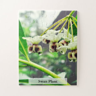 Swan Plant: Monarch’s First Home 30 Pcs Jigsaw Puzzle