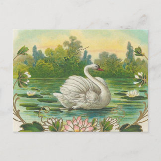 Swan Postcard