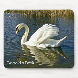 Swan Reflections ~ Mousepad