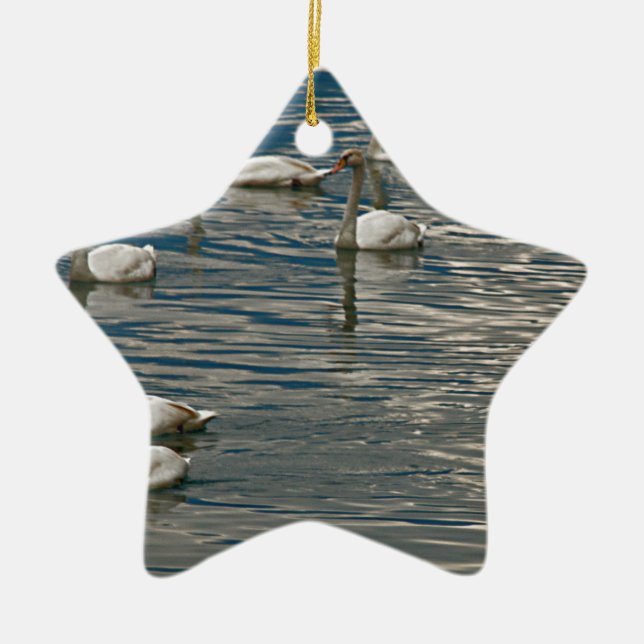 Swan Song Ceramic Ornament (Front)