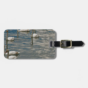 Swan Song Luggage Tag