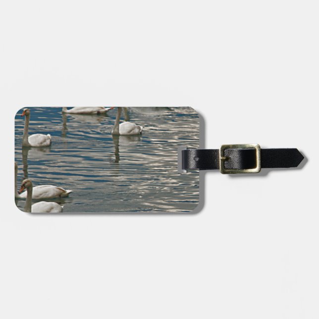 Swan Song Luggage Tag (Front Horizontal)