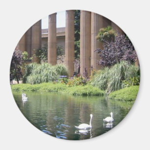 Swan Songs Palais des Beaux-Arts Photo Magnets