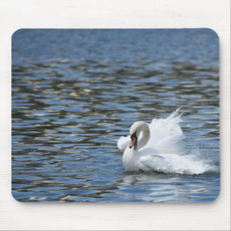 Swan Splashing in the Water Mouse Pad