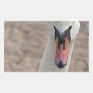 Swan Sticker