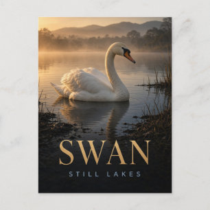 Swan Still Lakes Wildlife ANIMAL Postcard