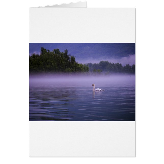 Swan sur le lac (Devant)