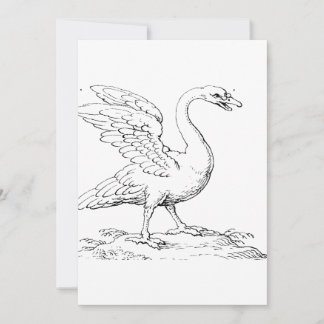 Swan Symbol of Love and Fidelity Fine Art Invitation