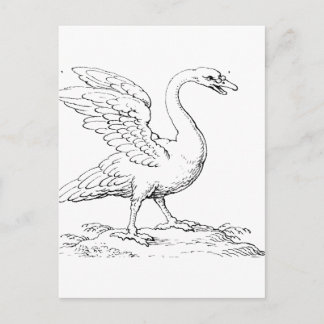 Swan Symbol of Love and Fidelity Fine Art Postcard