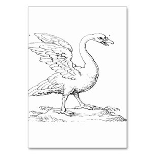 Swan Symbol of Love and Fidelity Fine Art Table Number