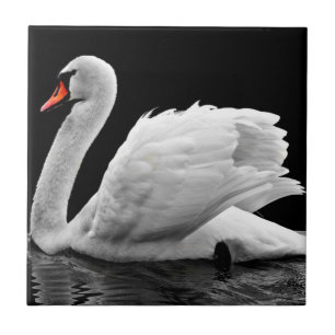 Swan Tile