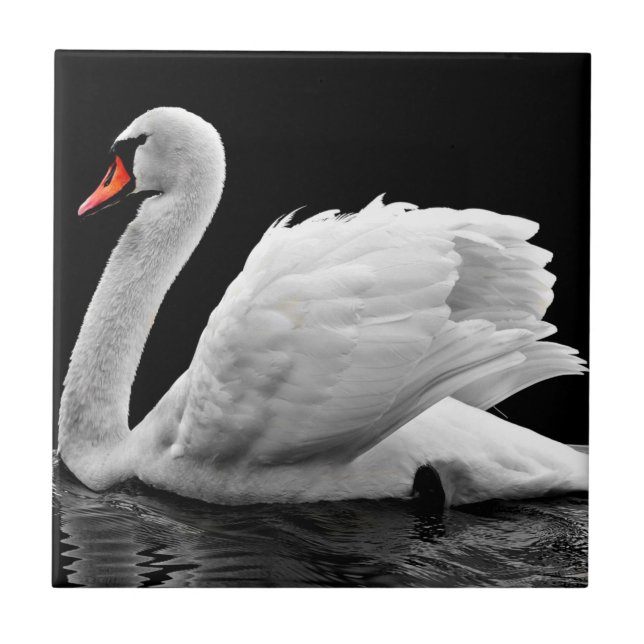 Swan Tile (Front)