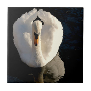 Swan Tile